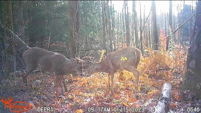 $199,900 | 1753 Highway 13, Altmar, NY 13302