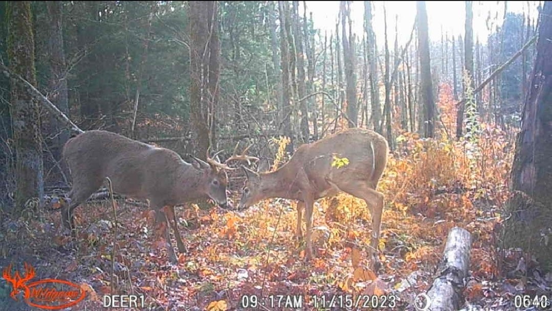 1753 Highway 13 Altmar, NY 13302 - Photo 23 of 28