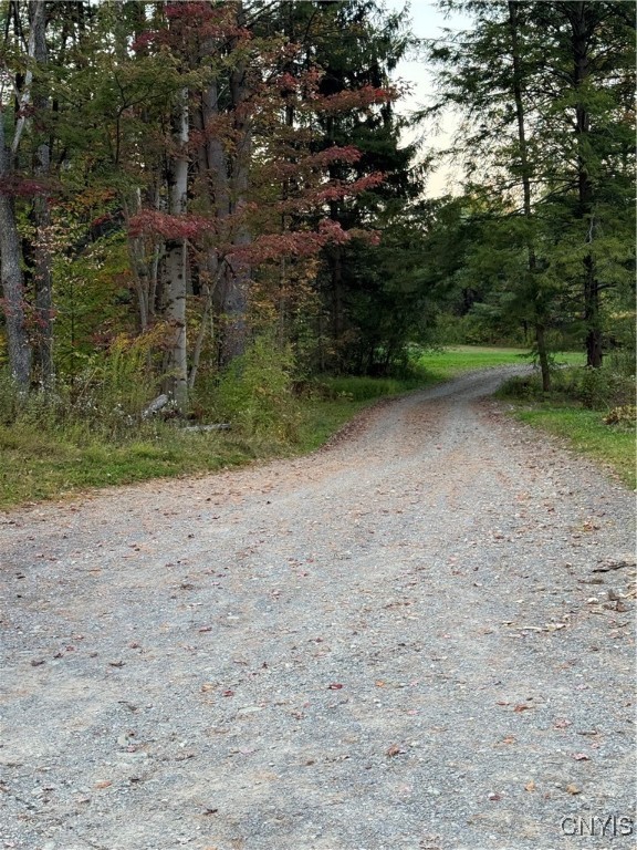 1753 Highway 13 Altmar, NY 13302 - Photo 3 of 28