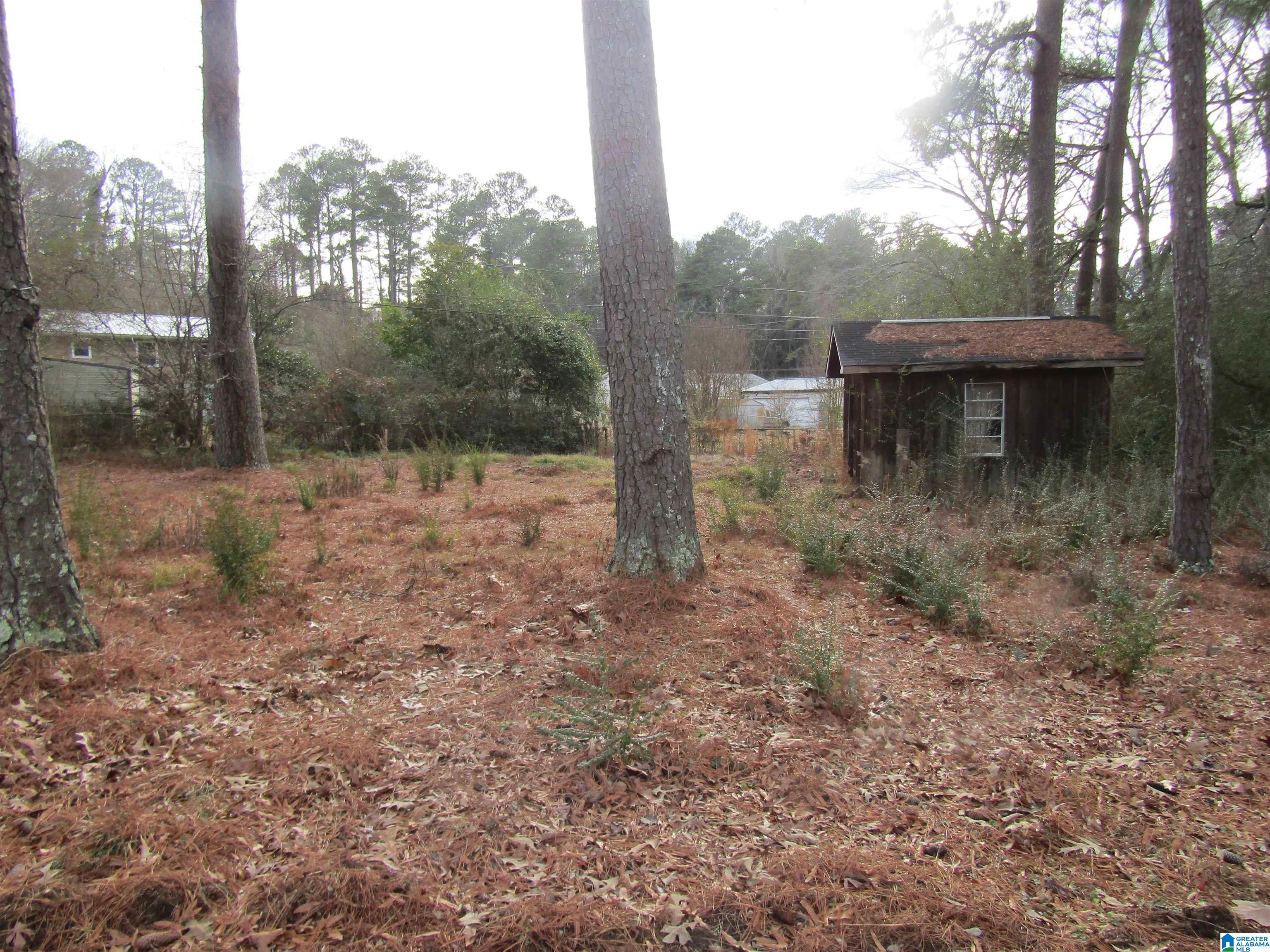 9824 Red Mill Road Birmingham, AL 35215 - Photo 2 of 4