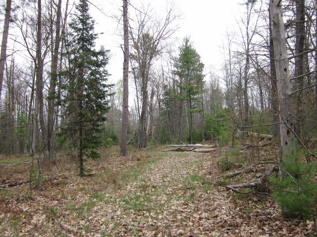On Spring Lake Road Eagle River, WI 54521 - Photo 6 of 7 Gallery Image 6