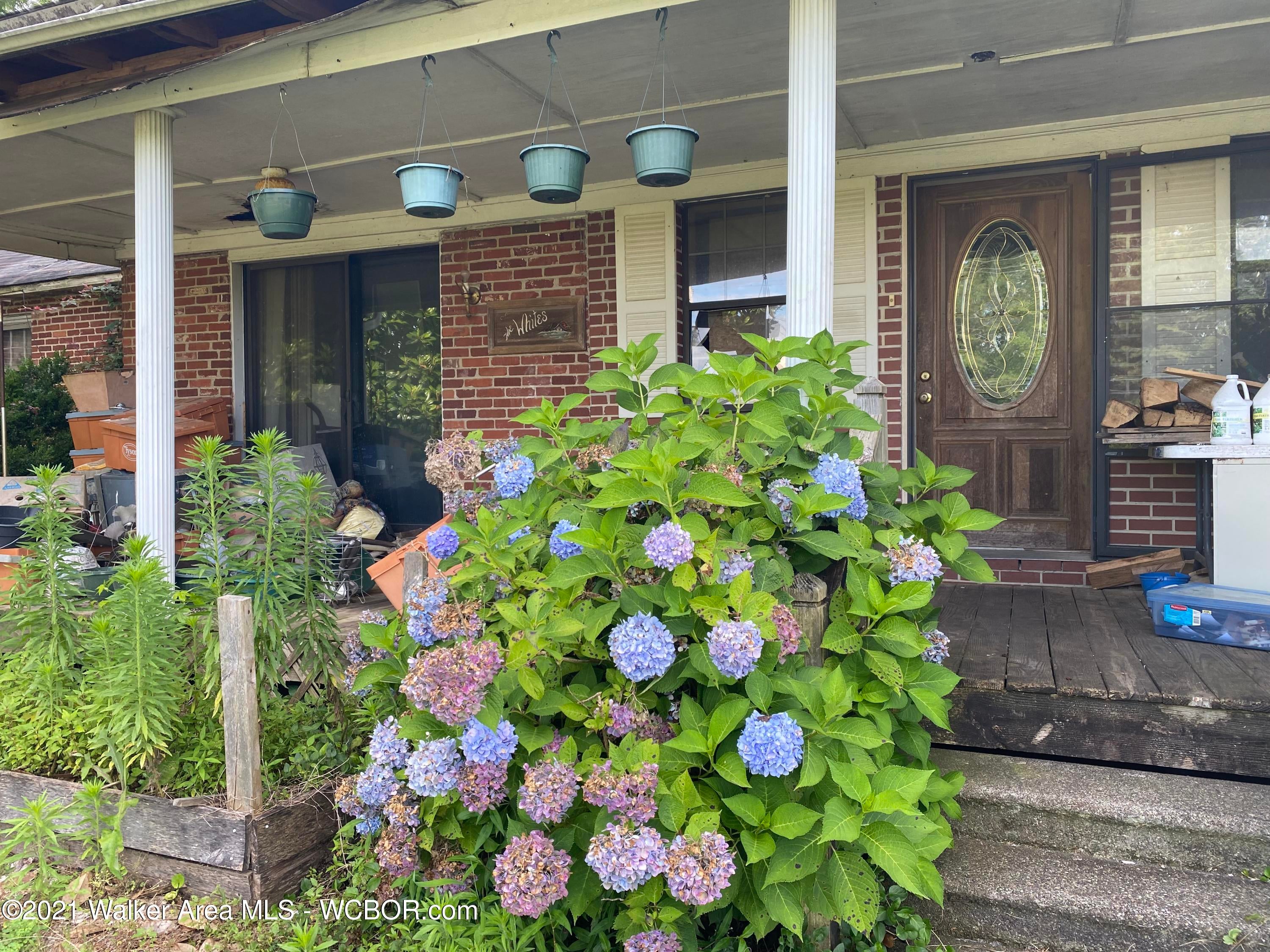 4297 Fall City Road Jasper, AL 35503 - Photo 2 of 6 Gallery Image 2