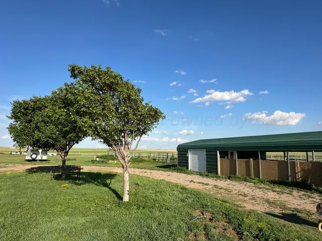 a view of a house with backyard and a tree