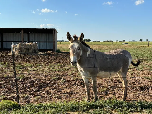 a view of a porch with furniture