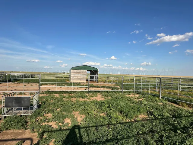 a view of a green field