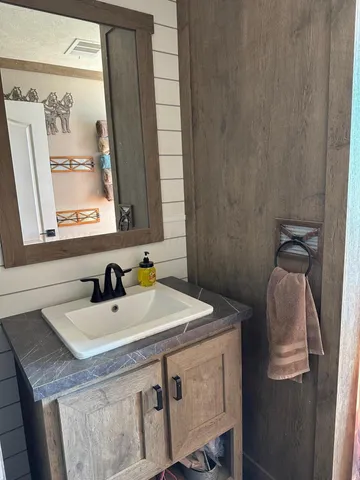 a bathroom with a sink and a vanity