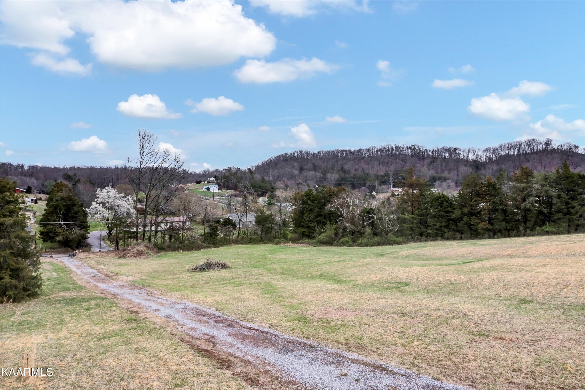 a view of a dry yard with a mountain