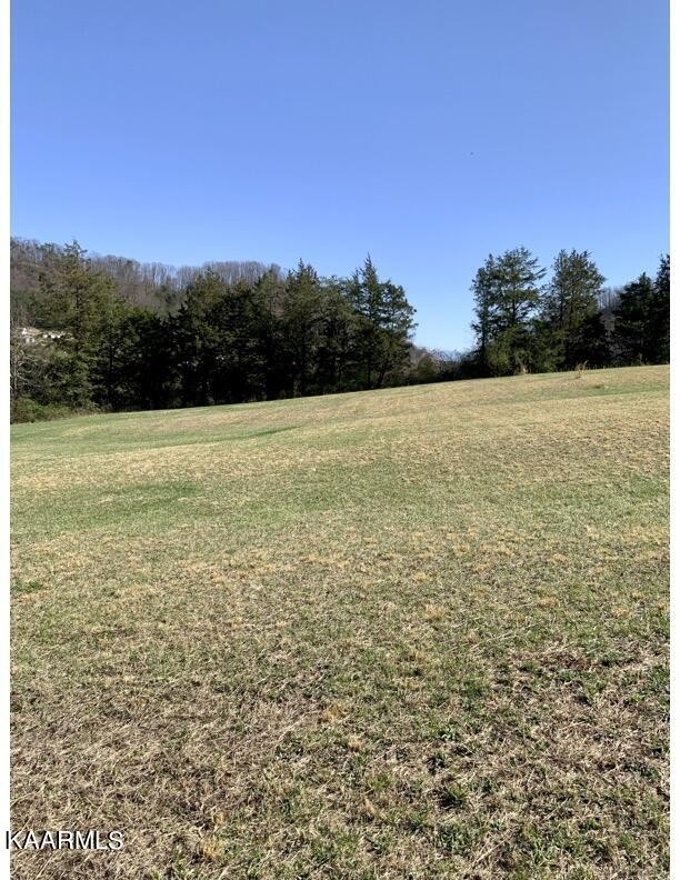 0 Shipe Road Corryton, TN 37721 - Photo 9 of 29 a view of an ocean view