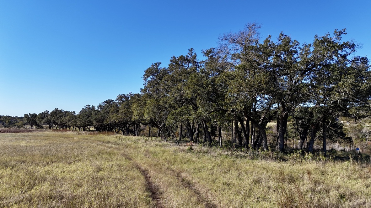 103 Mount Gainor Road Dripping Springs, TX 78620 - Photo 11 of 29