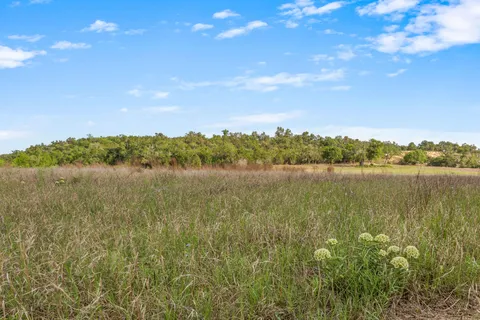 a view of a field with a tree in the background