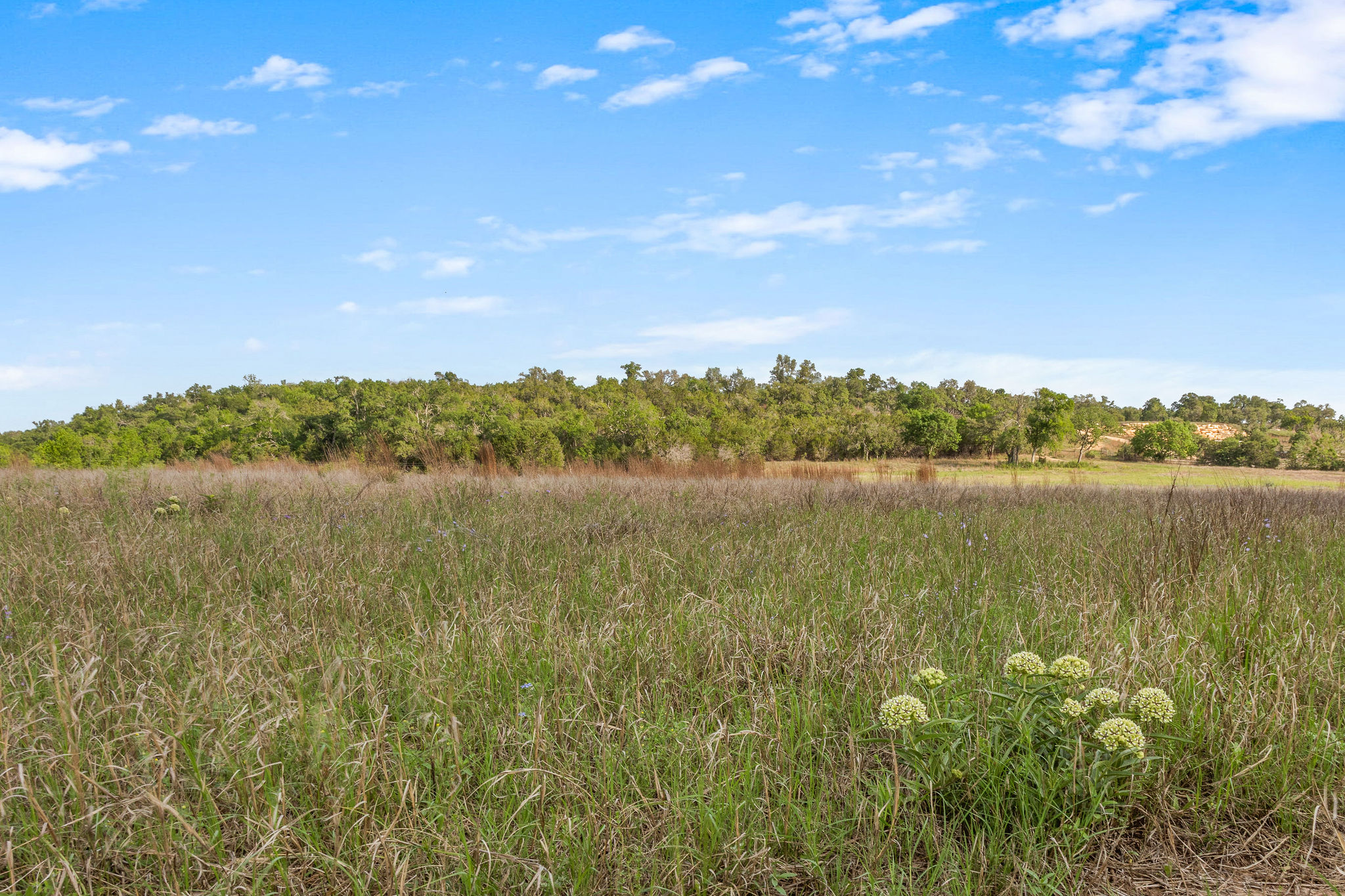 103 Mount Gainor Road Dripping Springs, TX 78620 - Photo 13 of 38