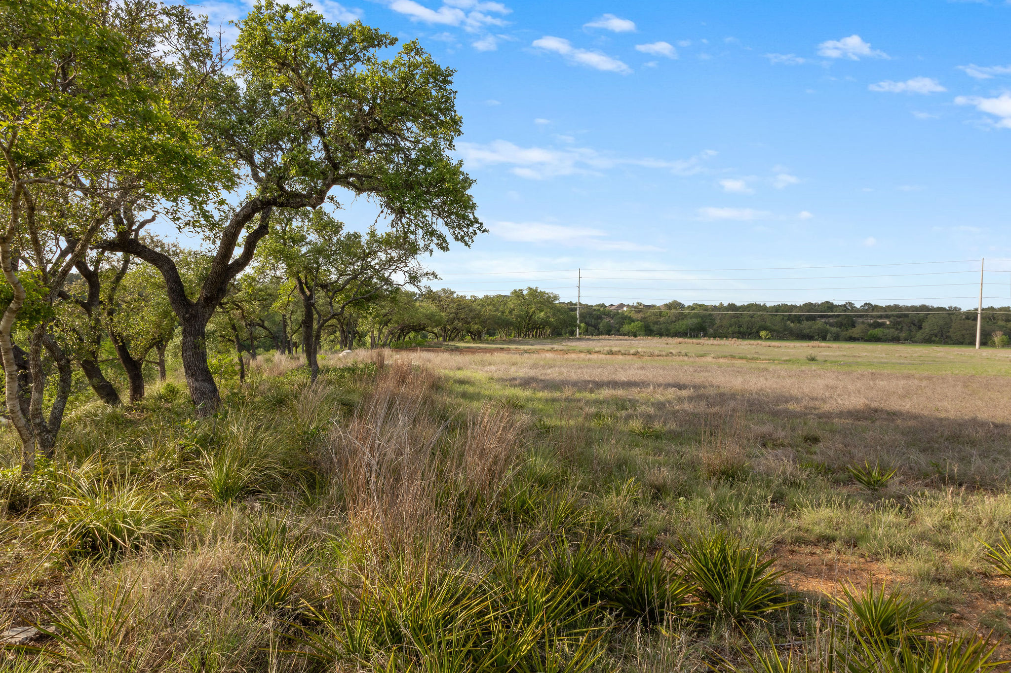 103 Mount Gainor Road Dripping Springs, TX 78620 - Photo 15 of 38
