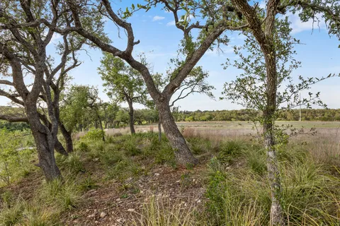 a view of a field with an trees