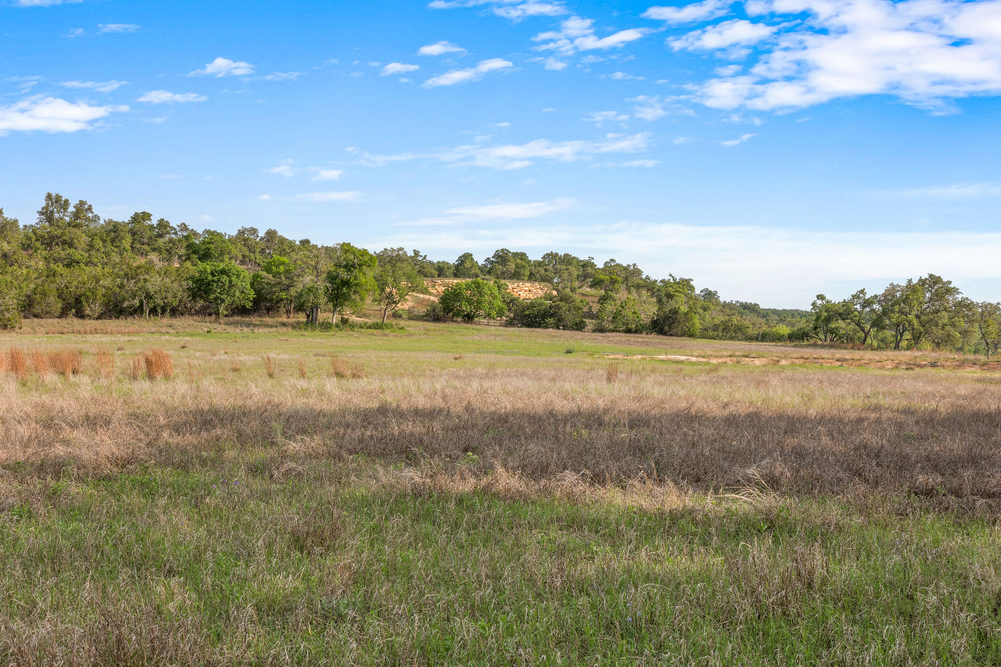 103 Mount Gainor Road Dripping Springs, TX 78620 - Photo 17 of 38