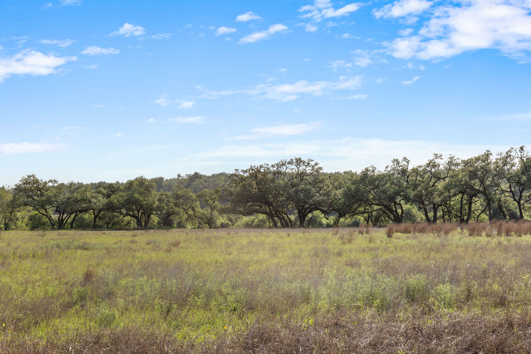 103 Mount Gainor Road Dripping Springs, TX 78620 - Photo 20 of 38