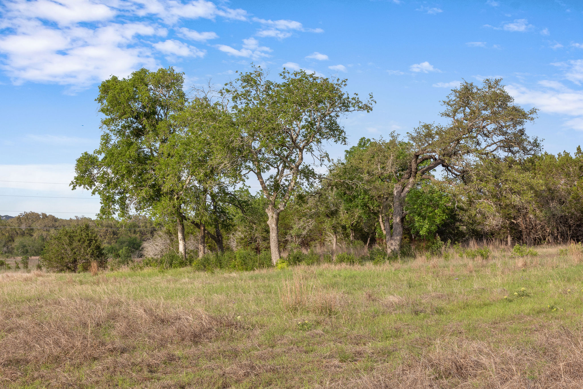 103 Mount Gainor Road Dripping Springs, TX 78620 - Photo 23 of 38