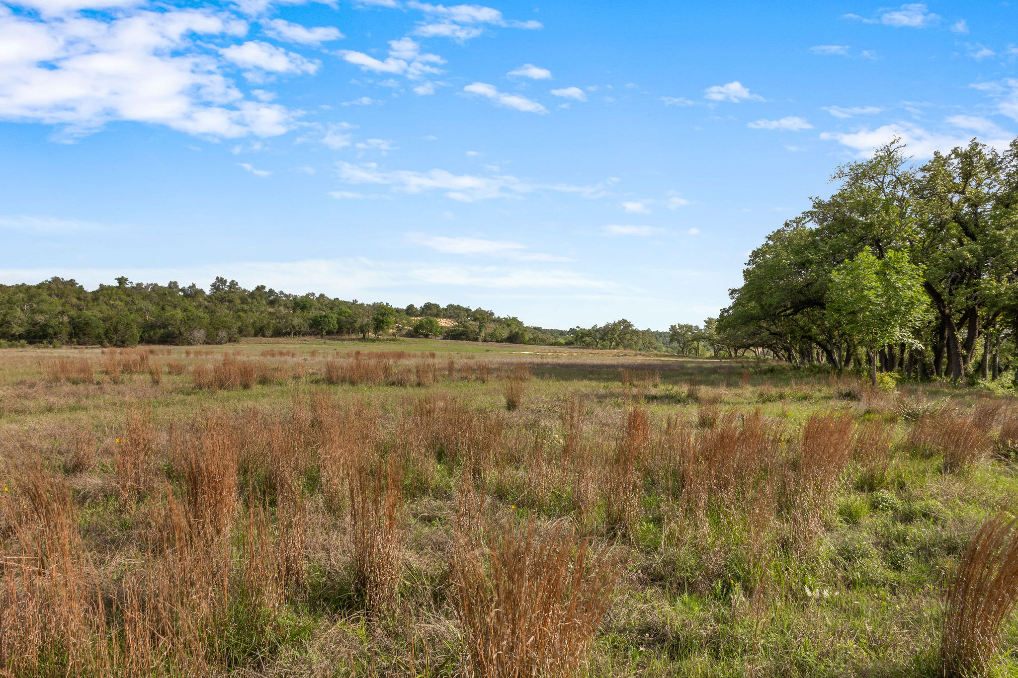 103 Mount Gainor Road Dripping Springs, TX 78620 - Photo 29 of 38