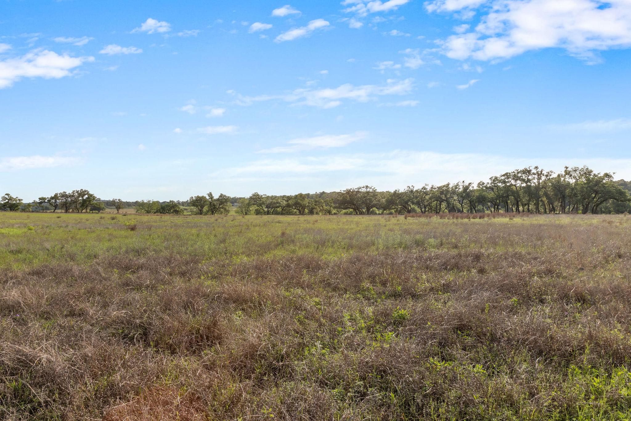 103 Mount Gainor Road Dripping Springs, TX 78620 - Photo 32 of 38