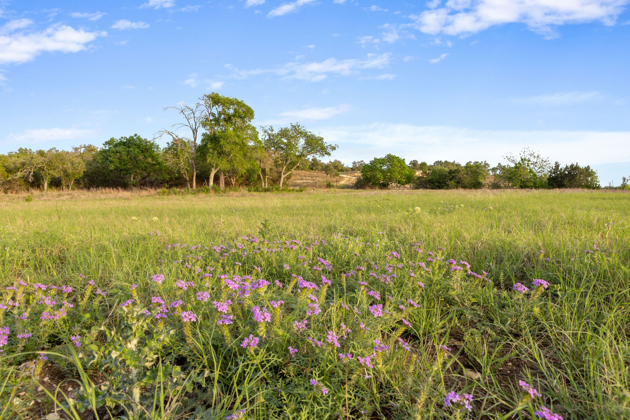 103 Mount Gainor Road Dripping Springs, TX 78620 - Photo 7 of 38