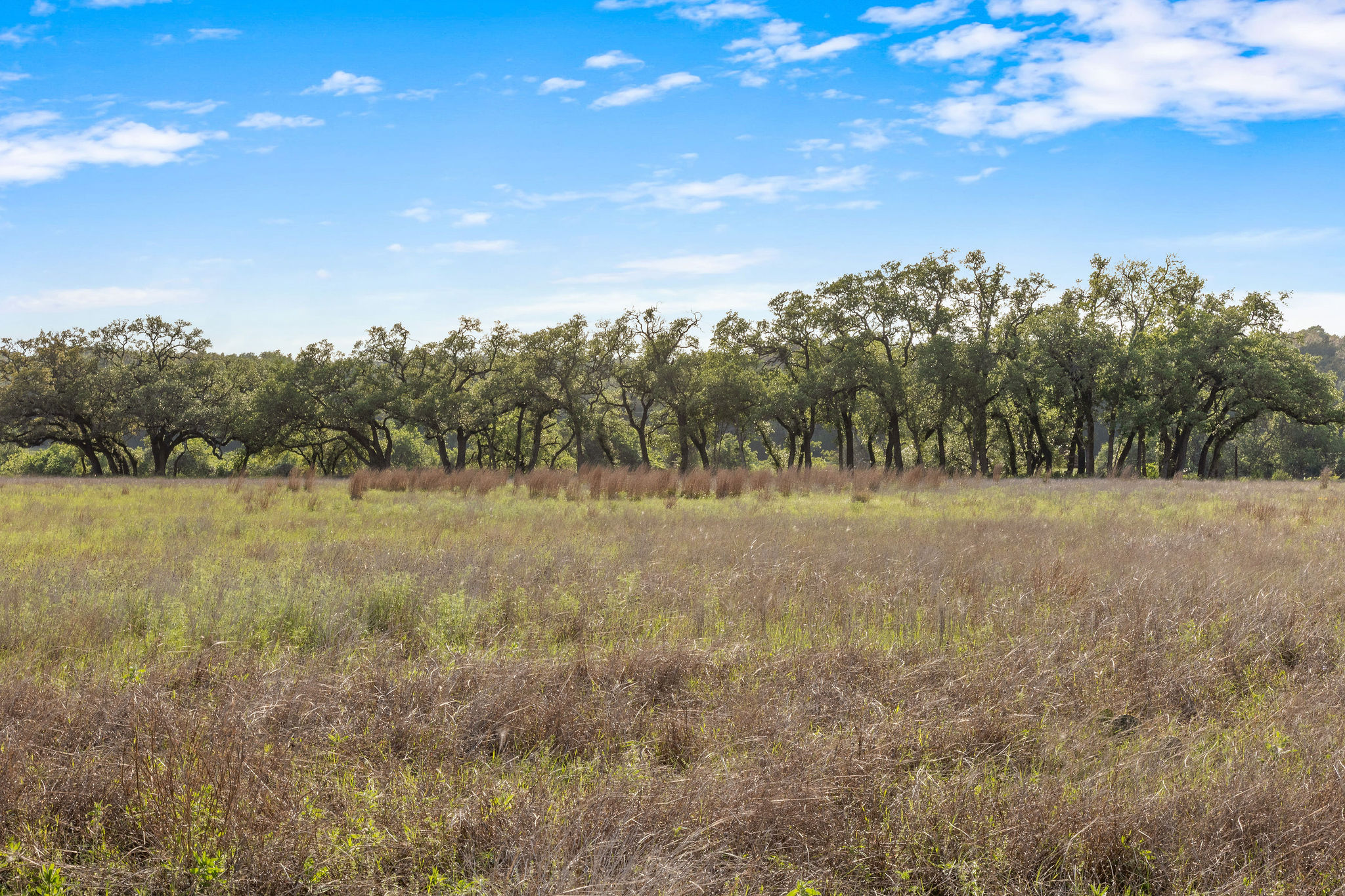 103 Mount Gainor Road Dripping Springs, TX 78620 - Photo 8 of 38