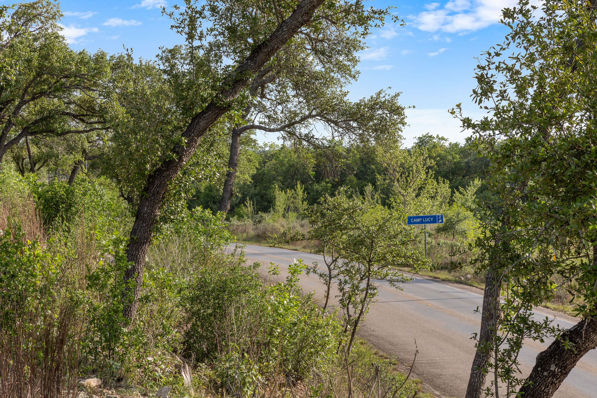 103 Mount Gainor Road Dripping Springs, TX 78620 - Photo 9 of 38