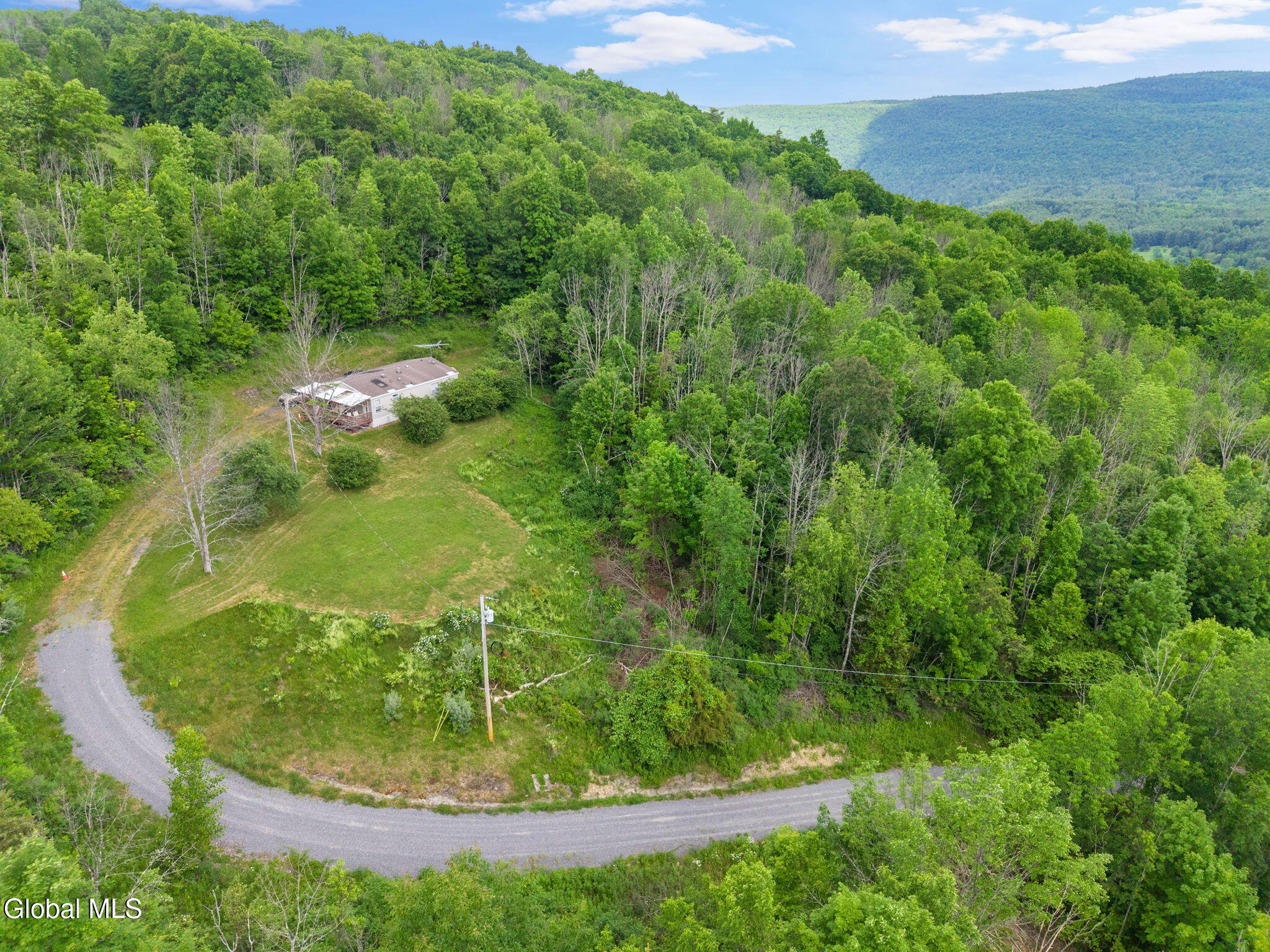 127 Grassy Road Blenheim, NY 12131 - Photo 5 of 44 3-127GrassyRd_41