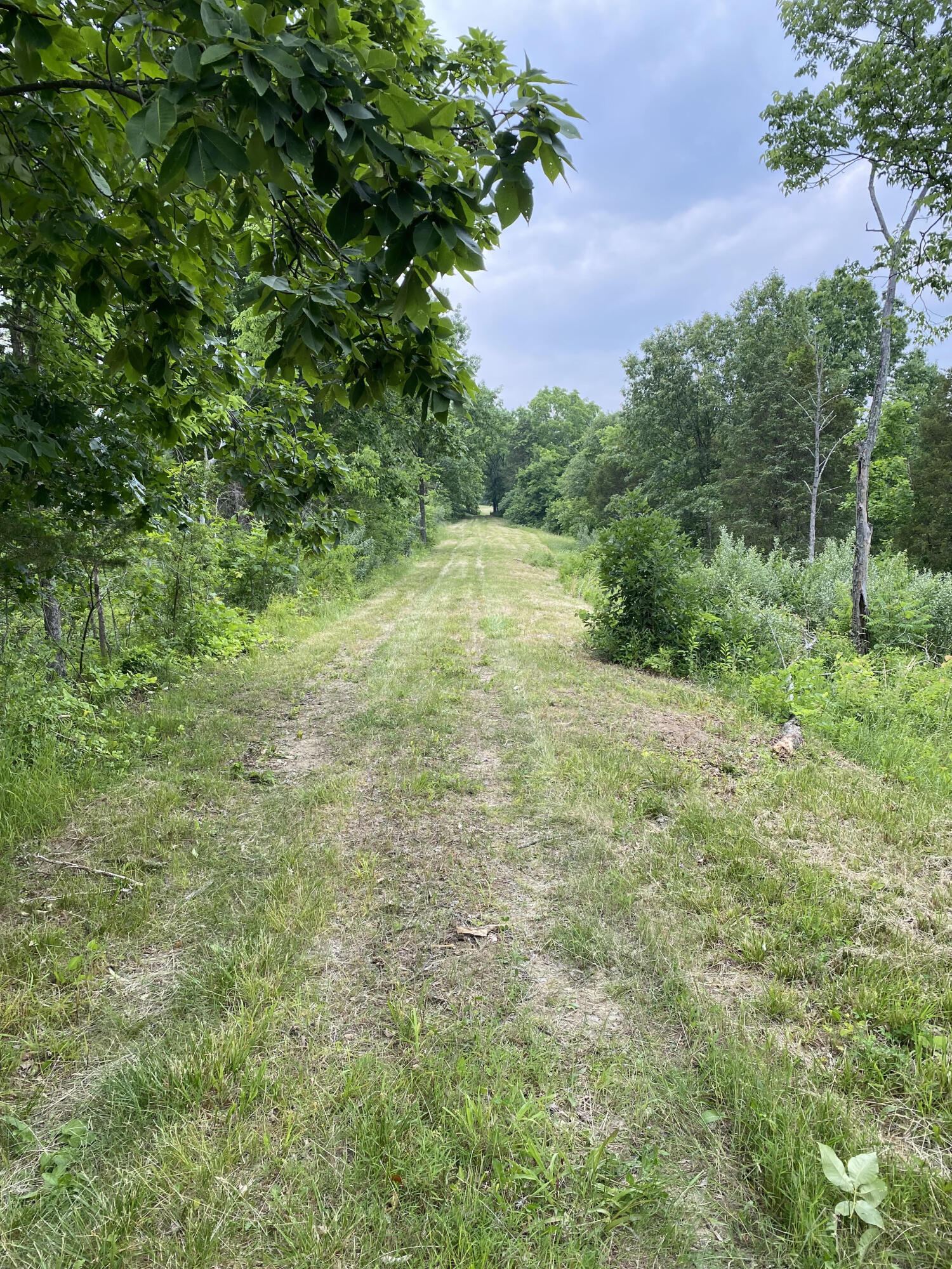 1100 Fairview Road Williamstown, KY 41097 - Photo 72 of 74 unnamed (27)