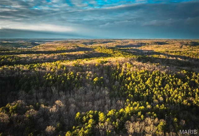 $183,170 | 56-ac Slaughter Road, Licking, MO 65542