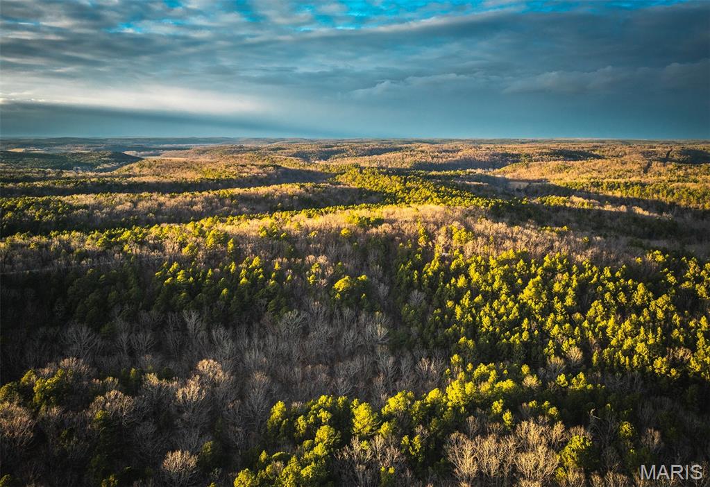 56-ac Slaughter Road Licking, MO 65542 - Photo 1 of 44
