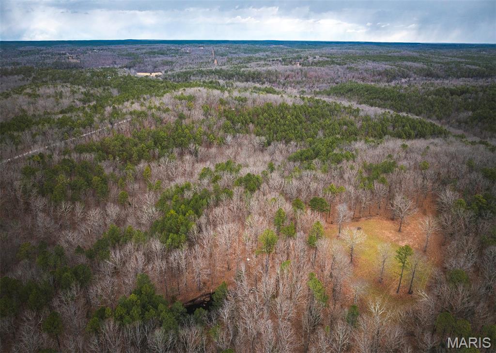 56-ac Slaughter Road Licking, MO 65542 - Photo 11 of 44