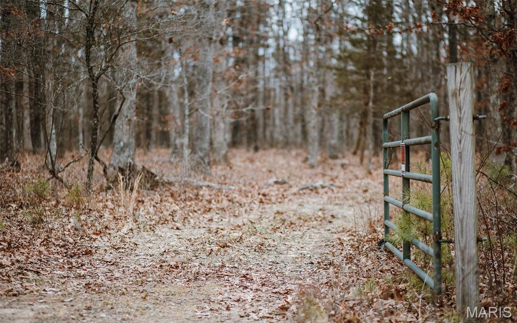 56-ac Slaughter Road Licking, MO 65542 - Photo 14 of 44