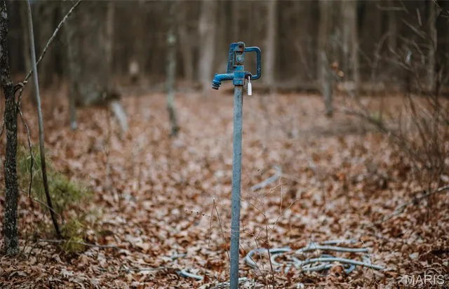 $183,170 | 56-ac Slaughter Road, Licking, MO 65542