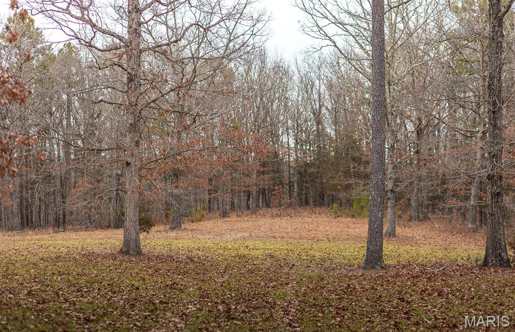 56-ac Slaughter Road Licking, MO 65542 - Photo 16 of 44