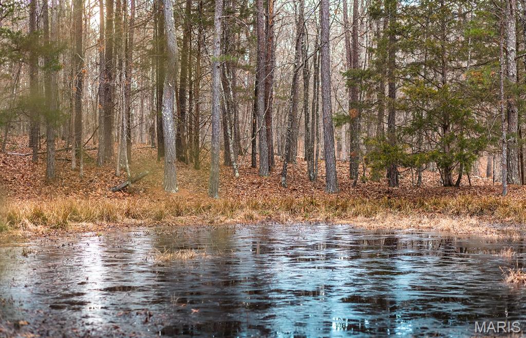 56-ac Slaughter Road Licking, MO 65542 - Photo 17 of 44