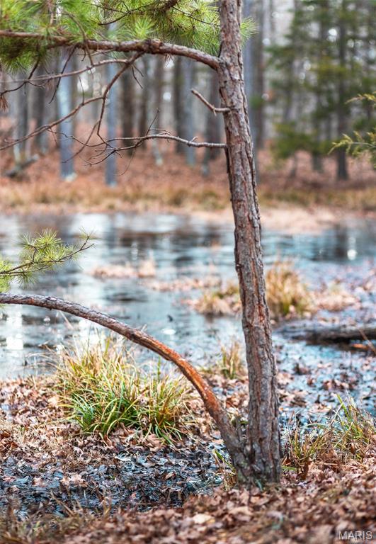 56-ac Slaughter Road Licking, MO 65542 - Photo 18 of 44