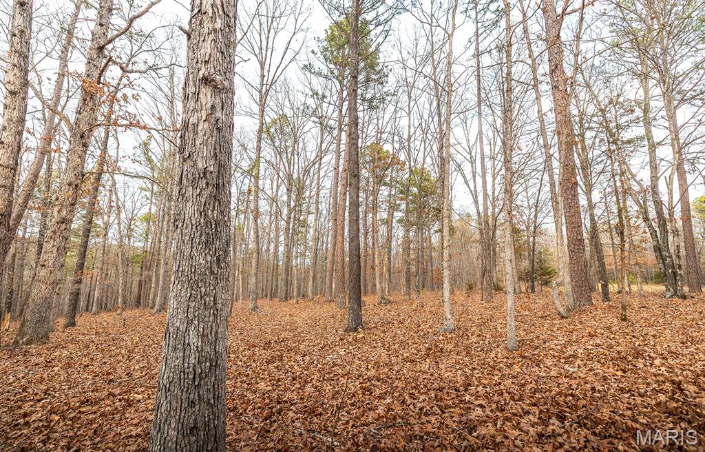 56-ac Slaughter Road Licking, MO 65542 - Photo 20 of 44