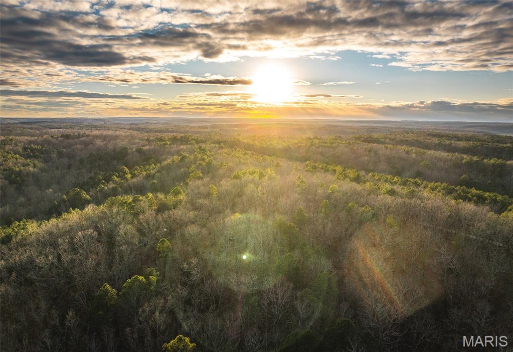 56-ac Slaughter Road Licking, MO 65542 - Photo 2 of 44