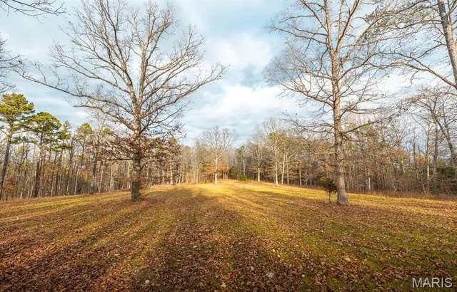 $183,170 | 56-ac Slaughter Road, Licking, MO 65542