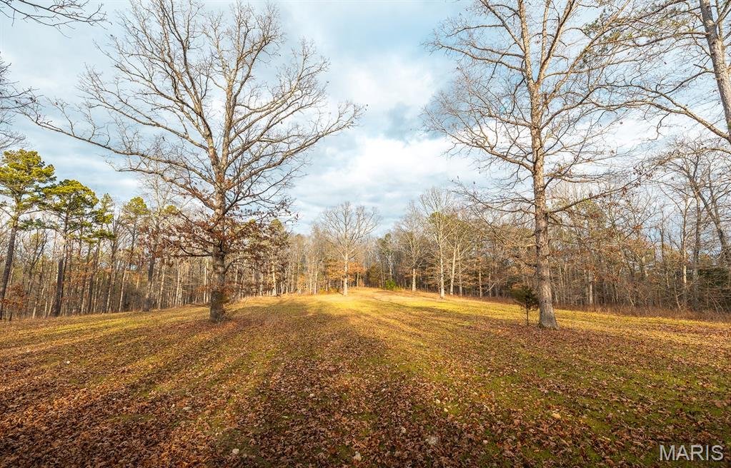 56-ac Slaughter Road Licking, MO 65542 - Photo 21 of 44
