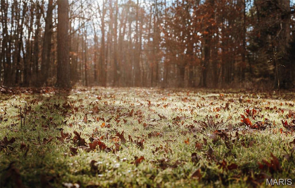56-ac Slaughter Road Licking, MO 65542 - Photo 22 of 44