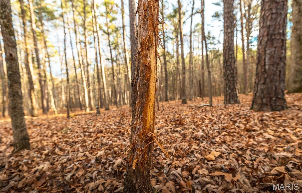 56-ac Slaughter Road Licking, MO 65542 - Photo 24 of 44