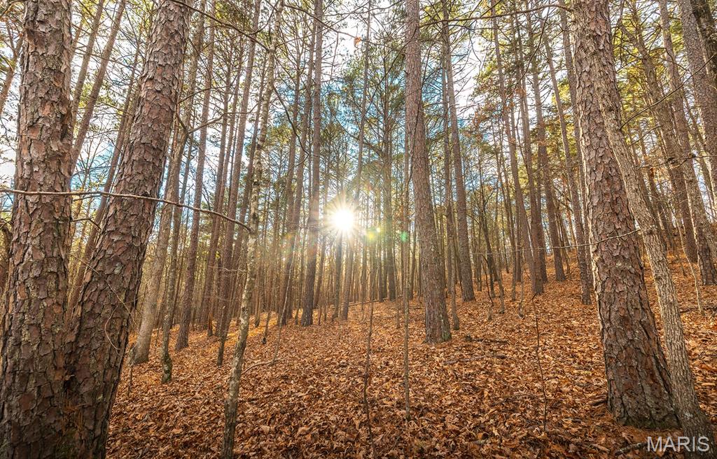 56-ac Slaughter Road Licking, MO 65542 - Photo 25 of 44