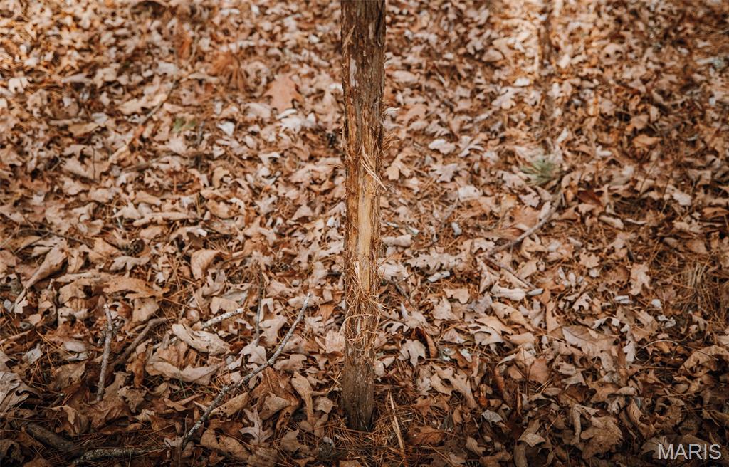 56-ac Slaughter Road Licking, MO 65542 - Photo 27 of 44