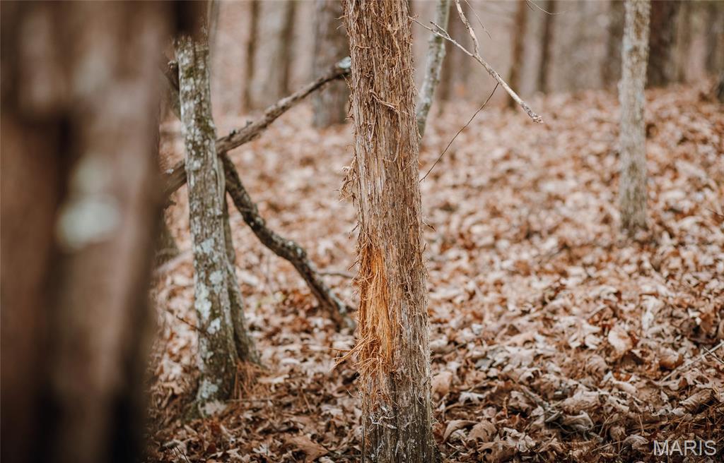 56-ac Slaughter Road Licking, MO 65542 - Photo 28 of 44