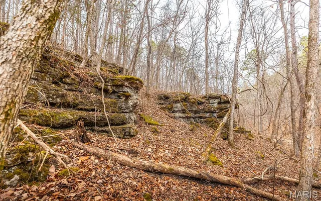 $183,170 | 56-ac Slaughter Road, Licking, MO 65542