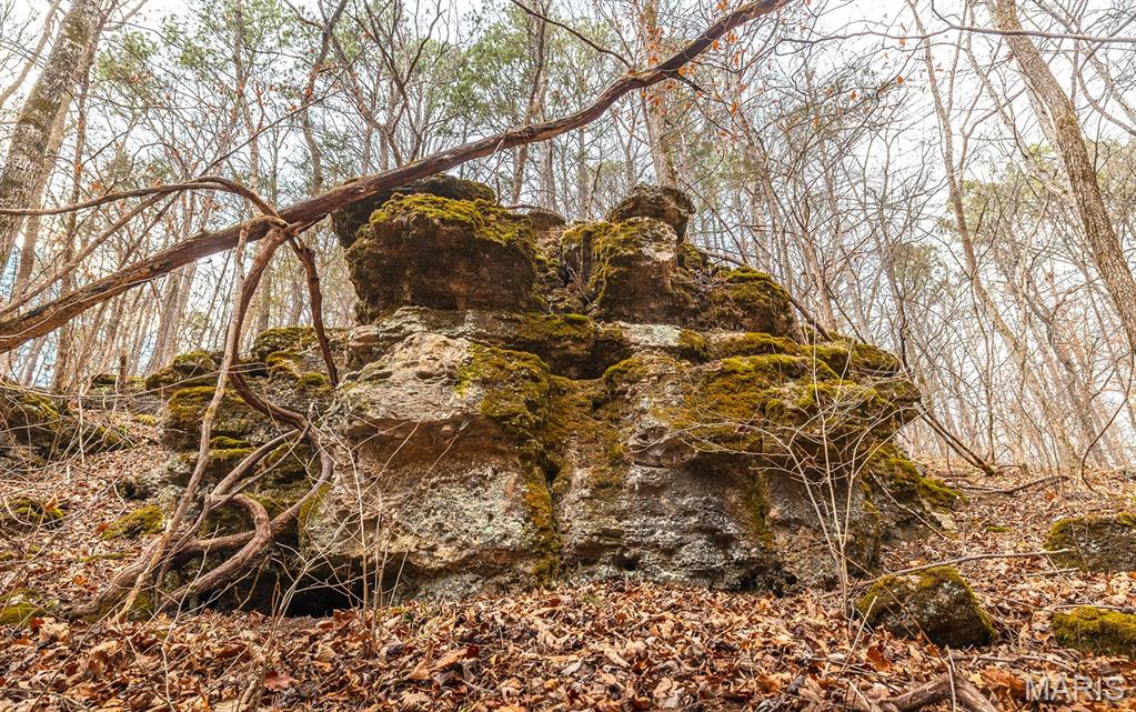 56-ac Slaughter Road Licking, MO 65542 - Photo 30 of 44