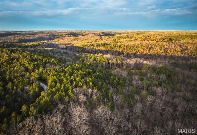 $183,170 | 56-ac Slaughter Road, Licking, MO 65542