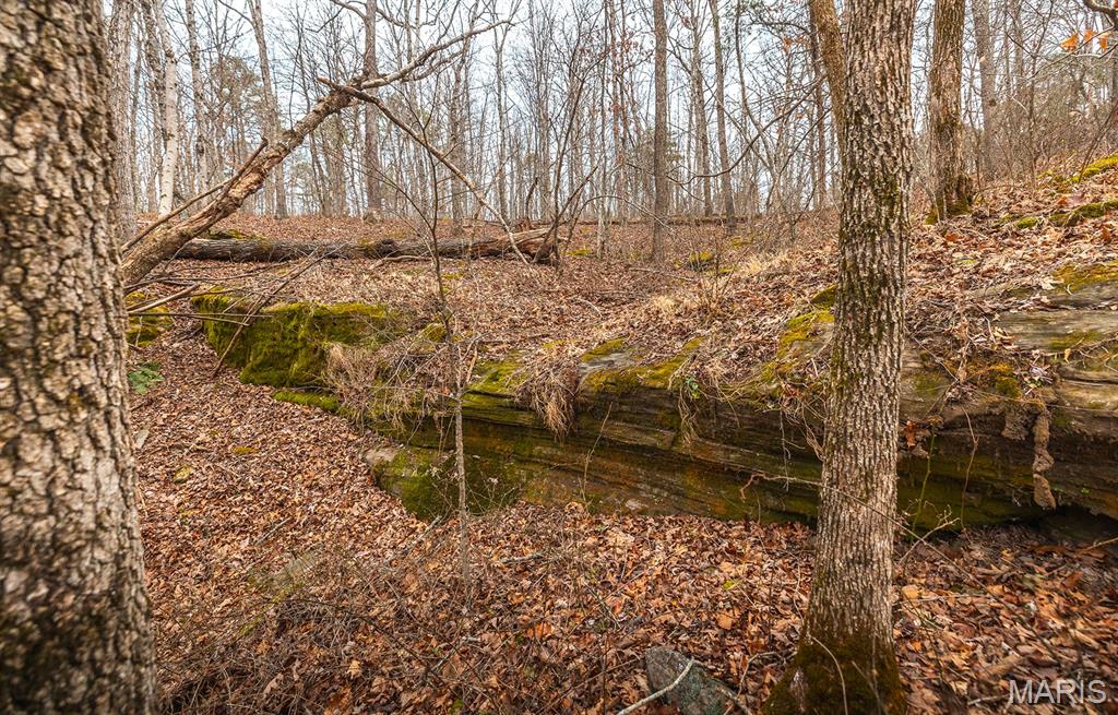 56-ac Slaughter Road Licking, MO 65542 - Photo 34 of 44