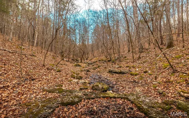 $183,170 | 56-ac Slaughter Road, Licking, MO 65542