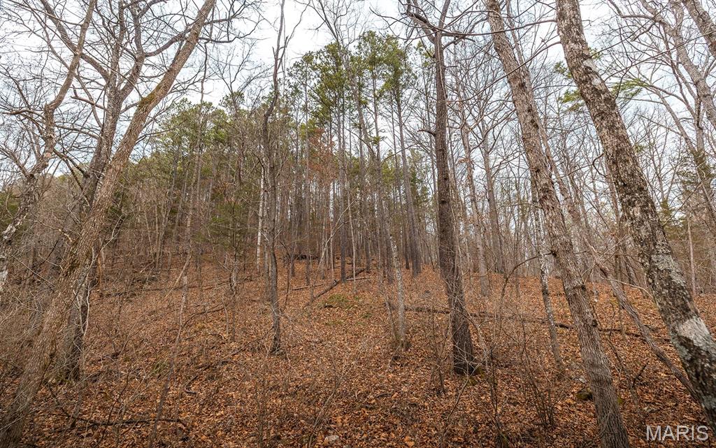 56-ac Slaughter Road Licking, MO 65542 - Photo 37 of 44